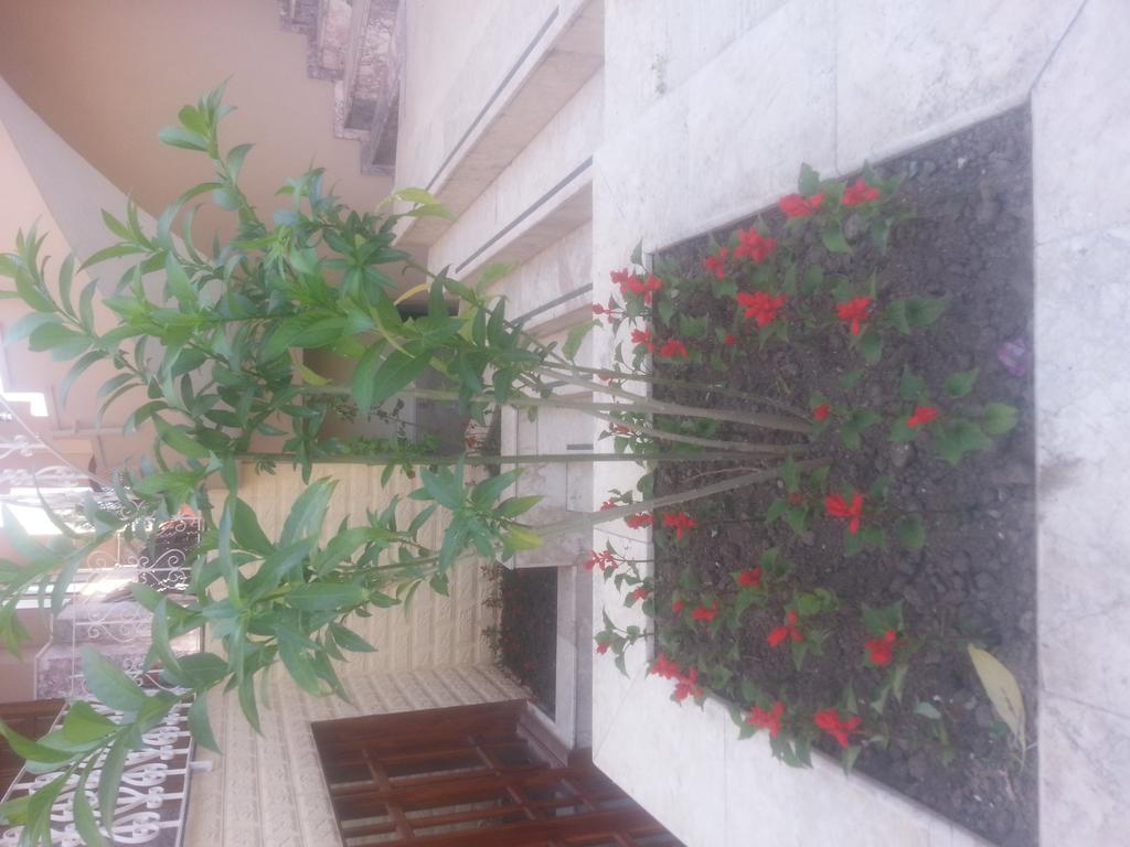 Lanova Hotel Kemer Exterior foto